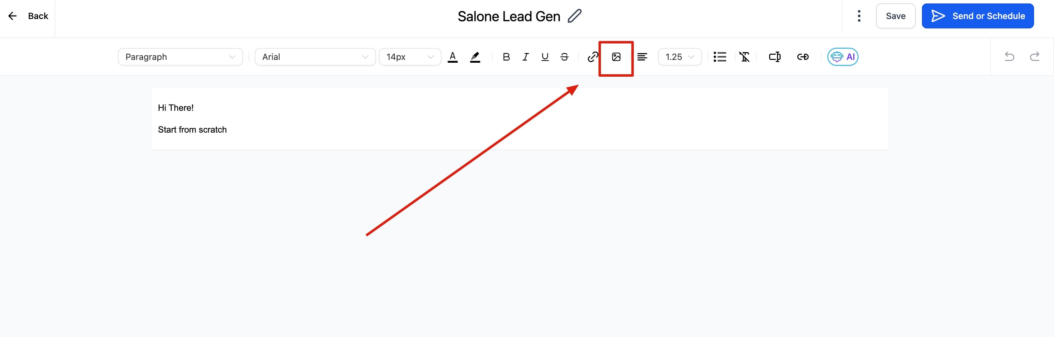 Schermata 5 — Come usare l'Editor di Testo Semplice per le Email