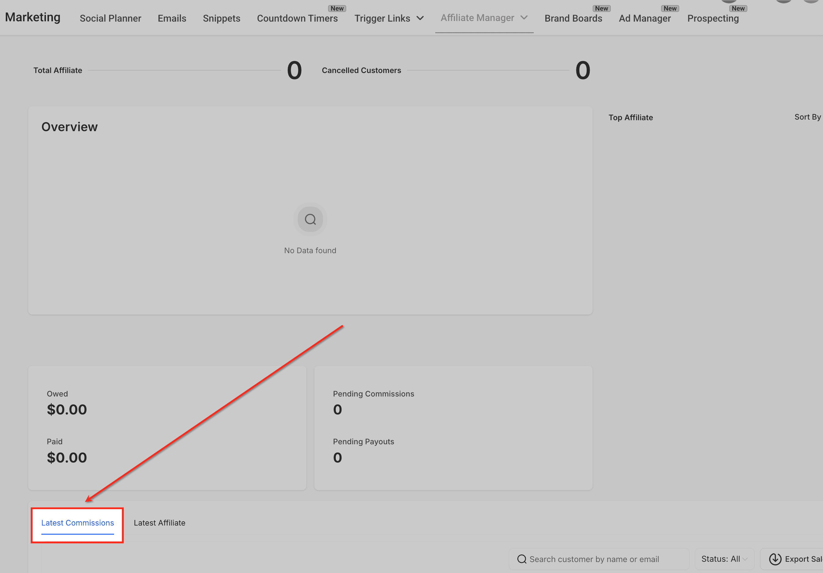 Schermata 5 — Affiliate Manager Sub Account: Azioni Collettive per le Commissioni degli Affiliati
