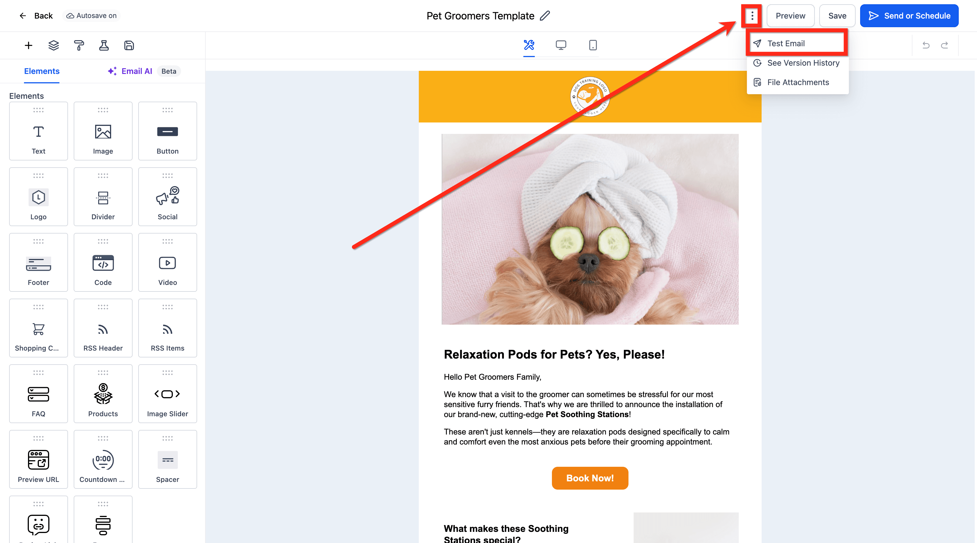 Schermata 3 — Come visualizzare l'anteprima e testare le tue Campaign/Template email