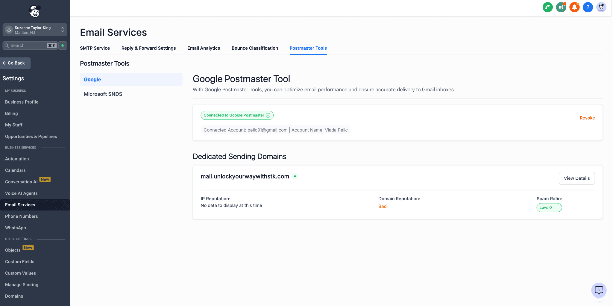Navigazione verso Google Postmaster Tool nelle impostazioni Email Service