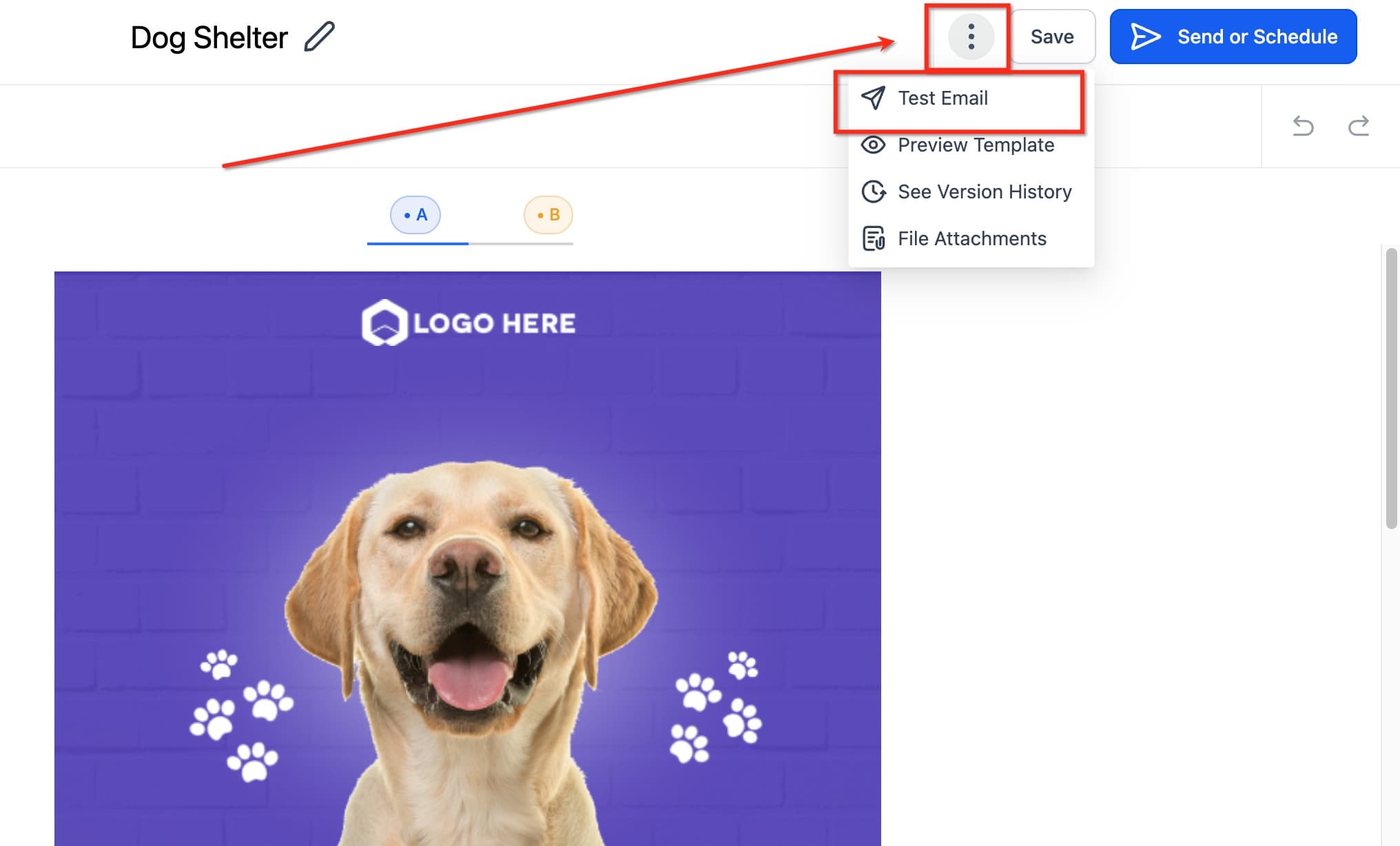 Schermata 4 — Come modificare il formato email per mobile nella scheda Appearance