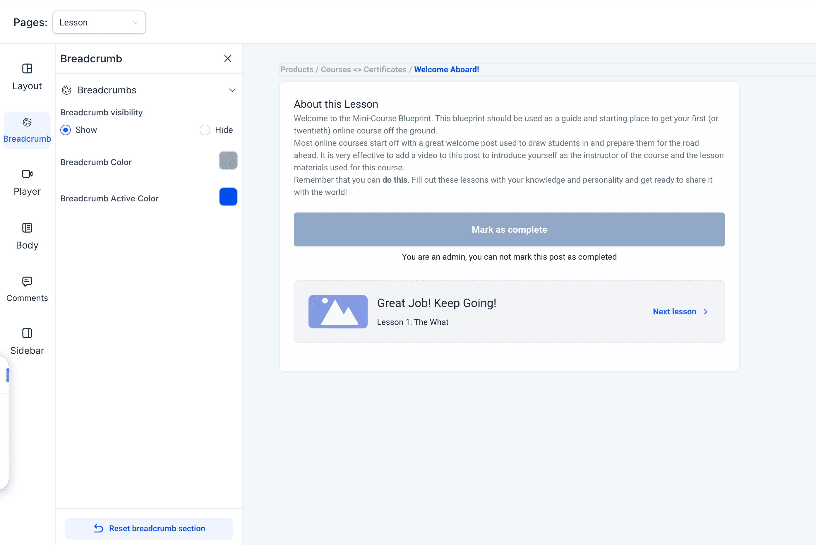 Schermata 7 — Nuovo Theme Customizer per i Corsi