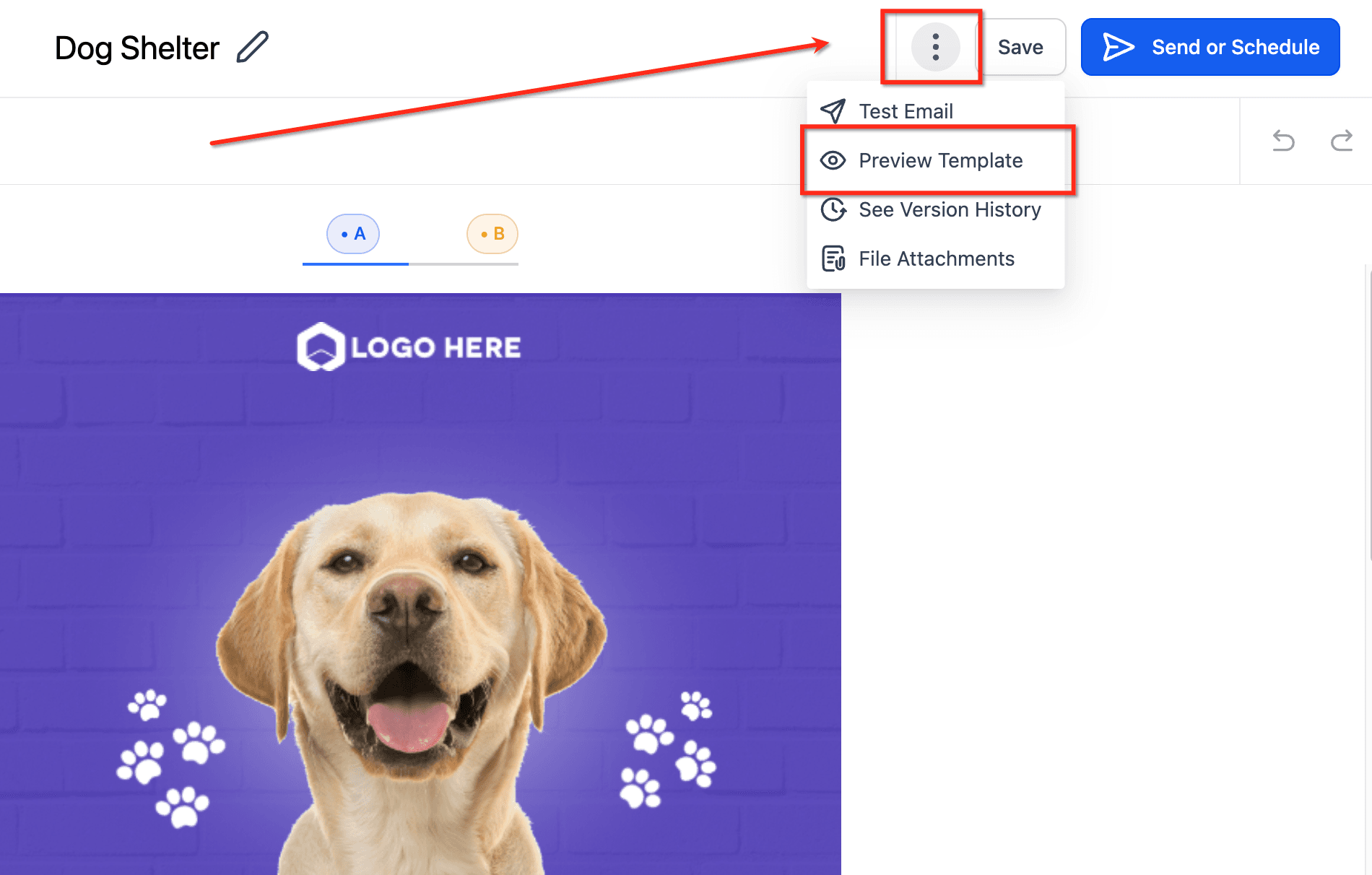 Schermata 5 — Come modificare il formato email per mobile nella scheda Appearance