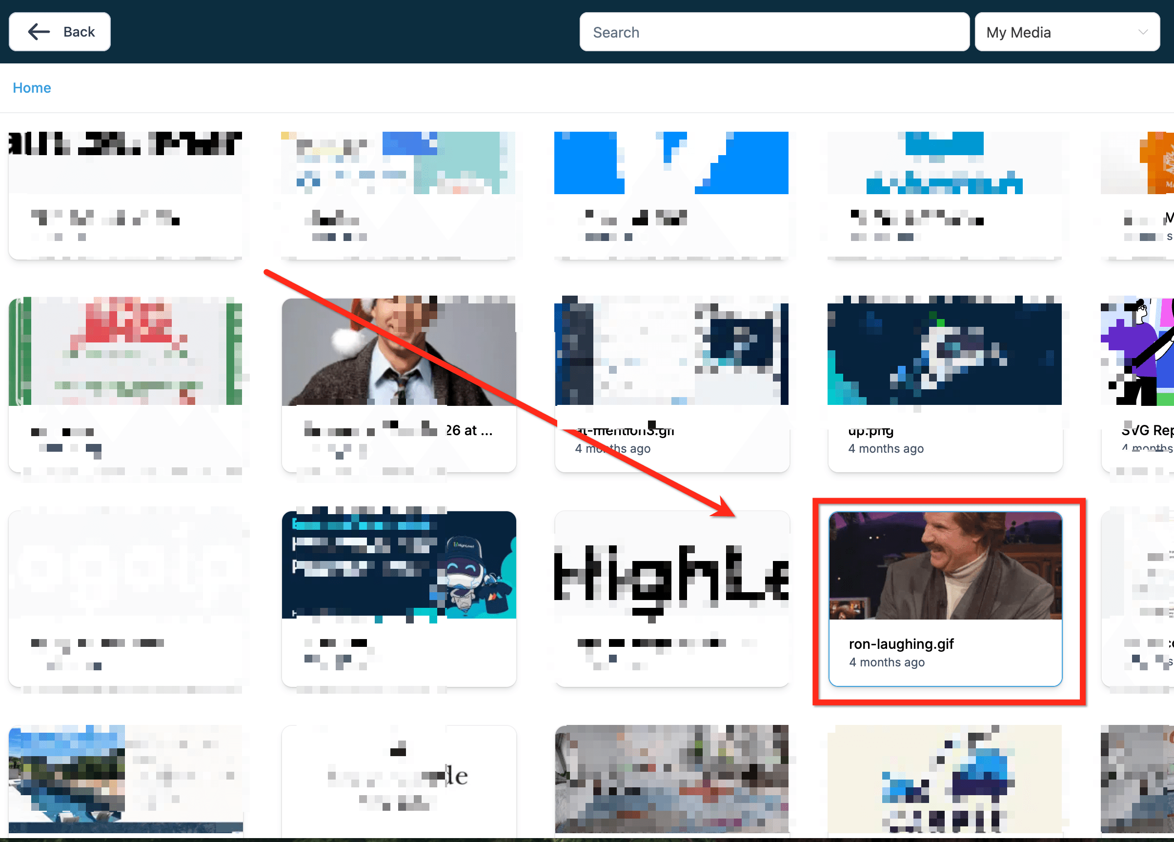 Schermata 5 — Come aggiungere GIF alle tue email?