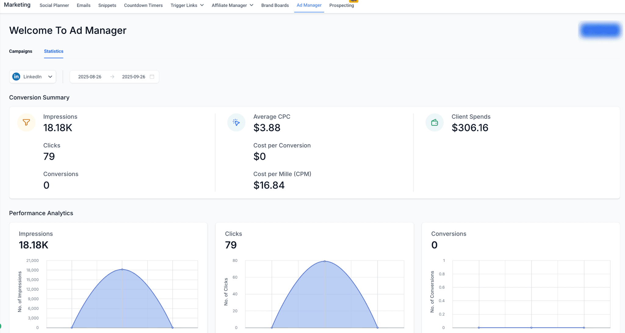 Schermata 1 — Capire le statistiche LinkedIn in Ad Manager