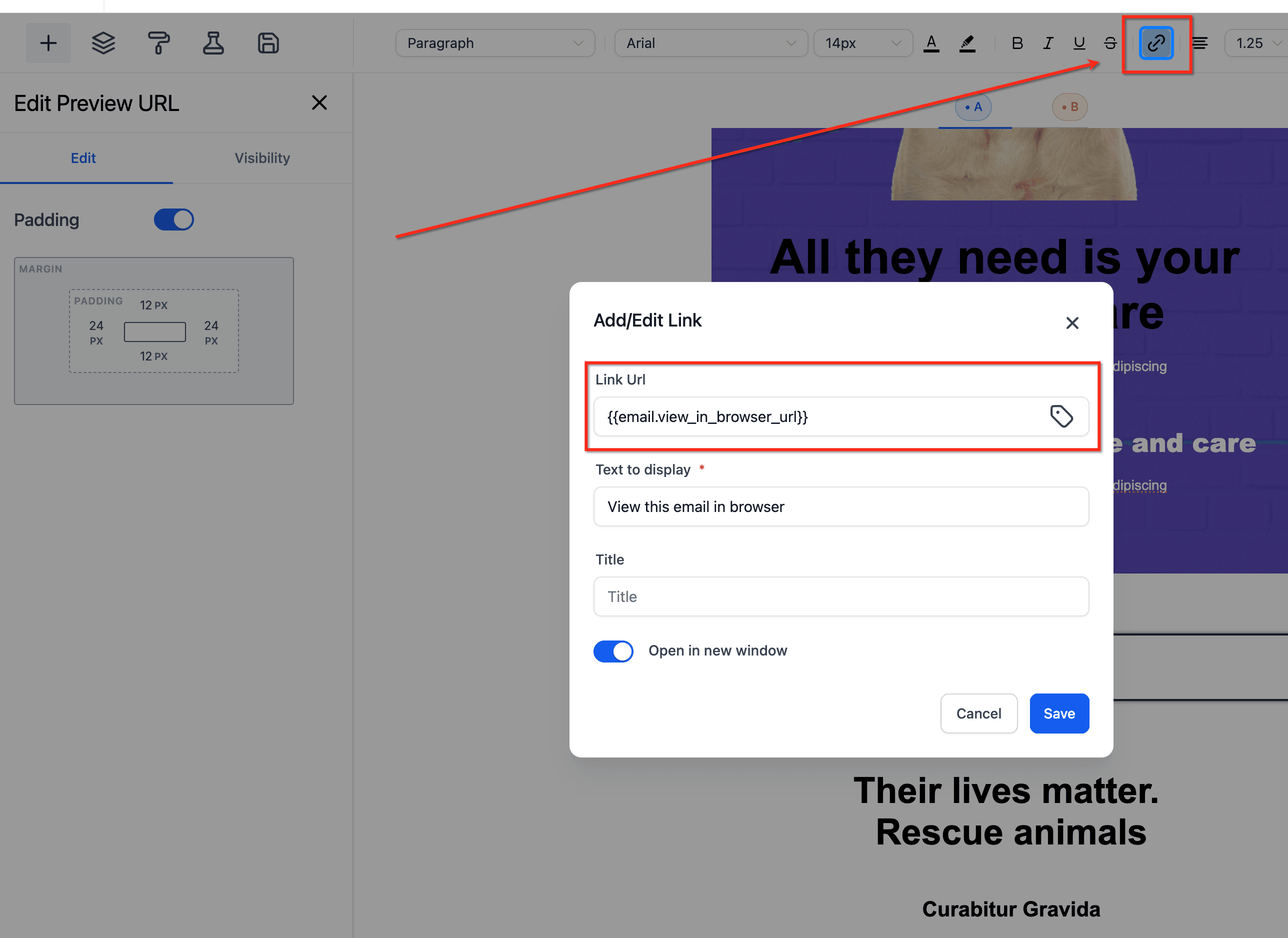 Schermata 64 — Come usare l'Email Builder e il suo Editor Inline