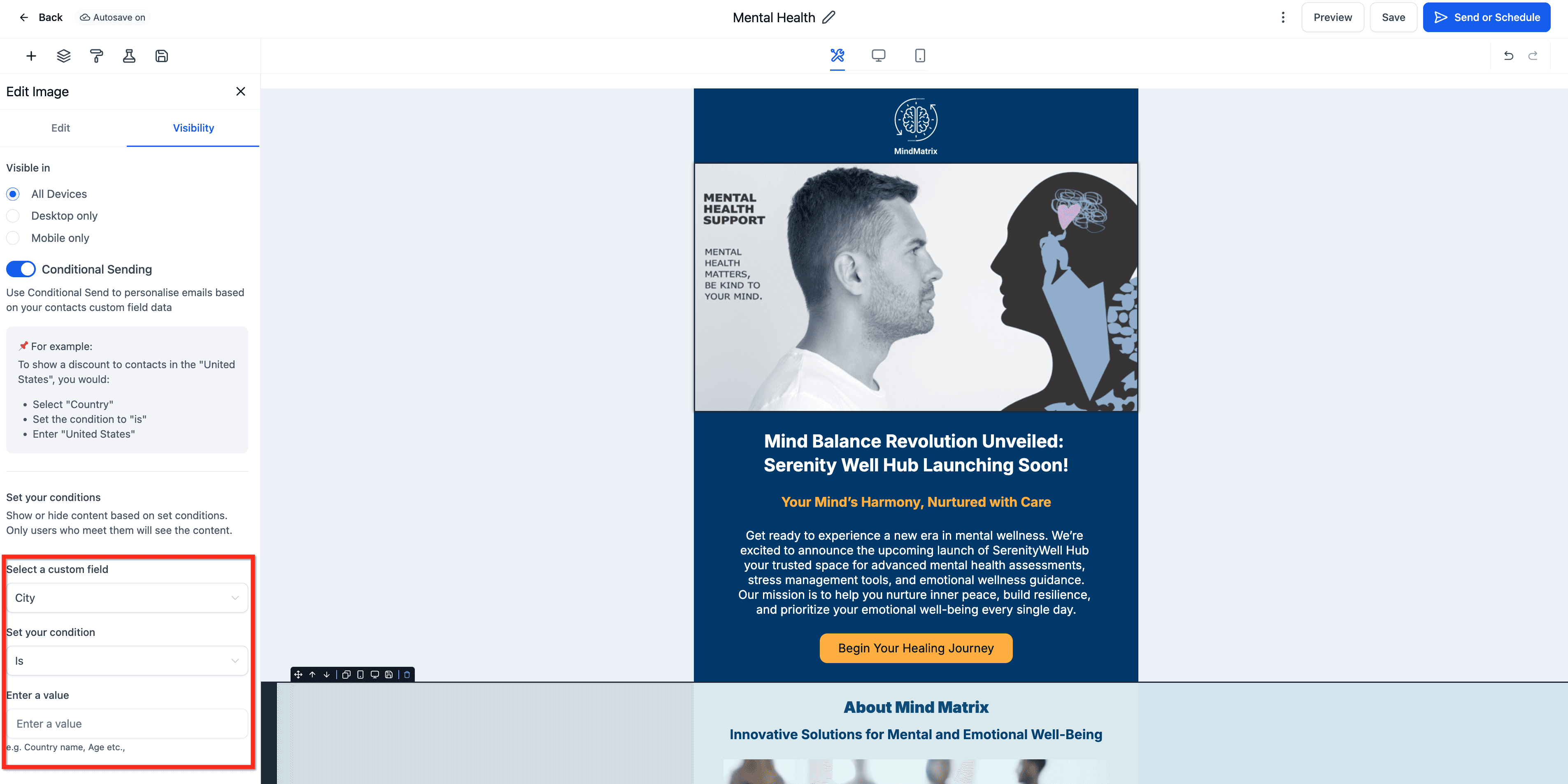 Schermata 5 — Come personalizzare le tue Campaign con gli Elementi Condizionali