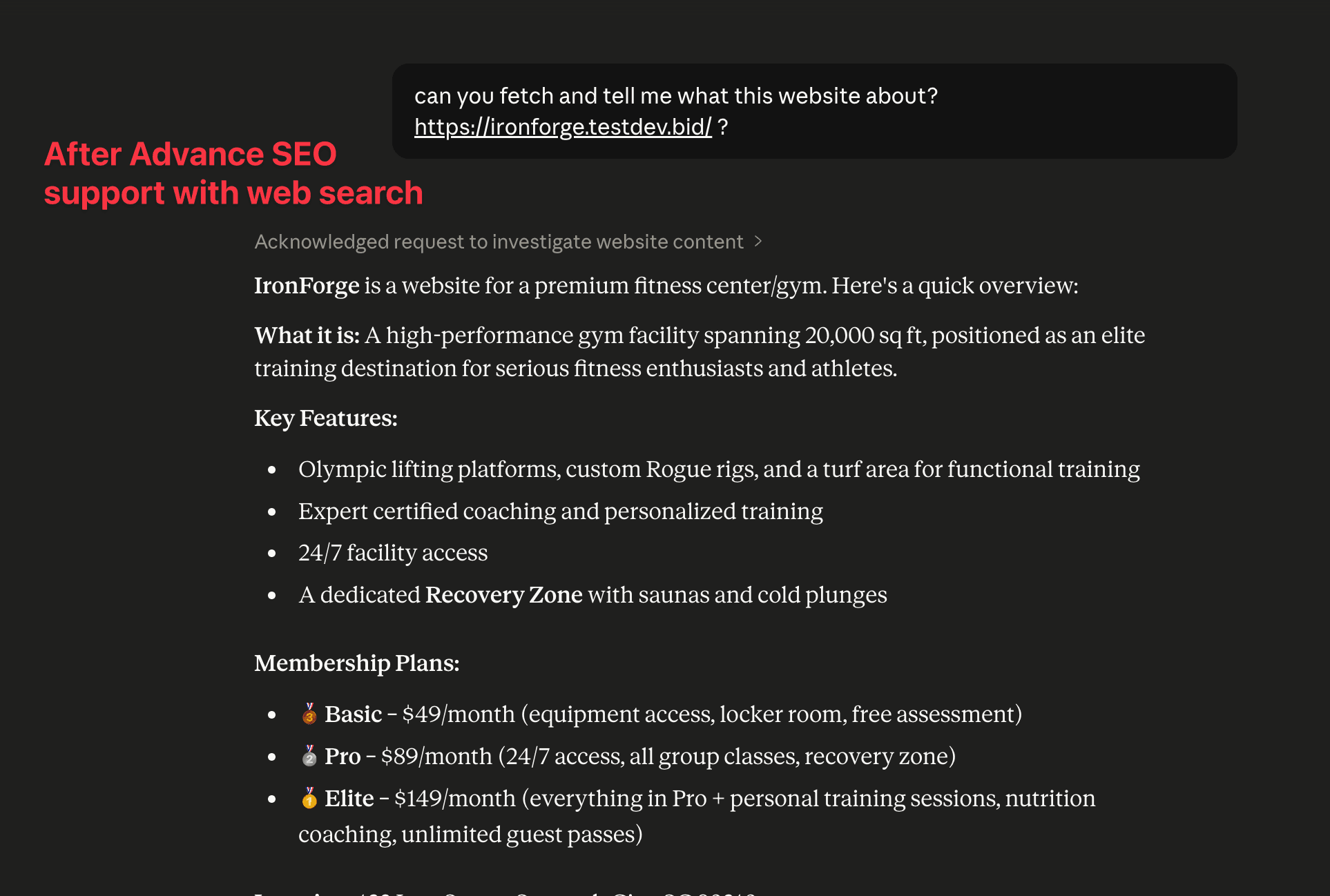 Schermata 2 — Supporto SEO Avanzato in AI Studio